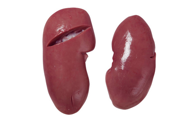 pork-kidney